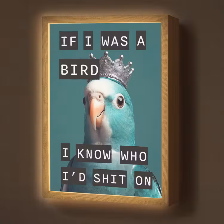 Parkiet - Turquoise - Quotes - Decoratie Light Box met batterij (Wandlamp) middel -z3d_website