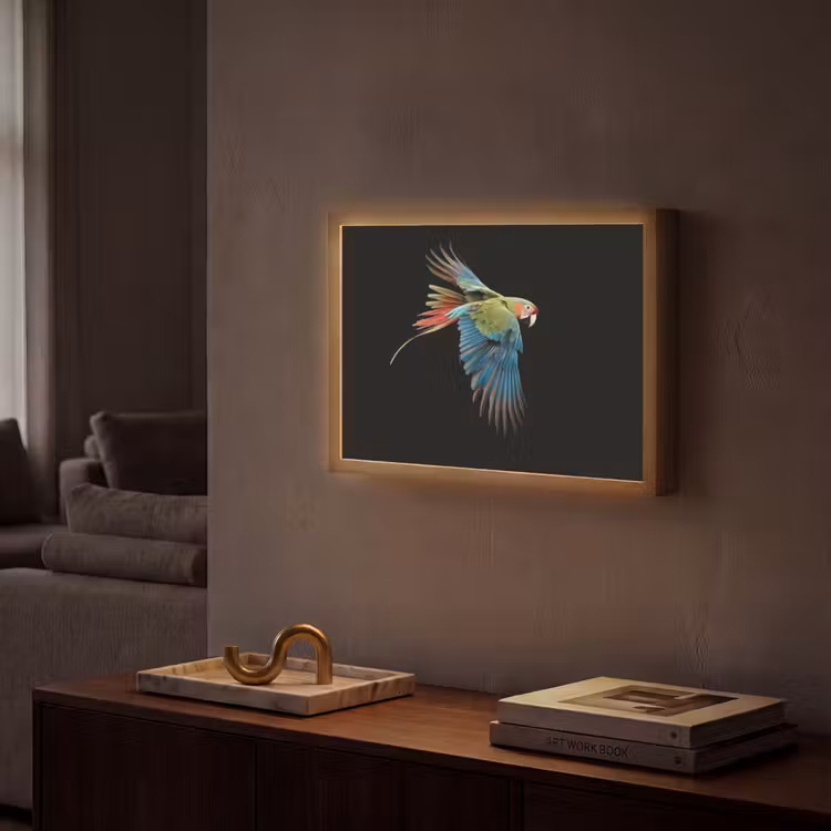 Papegaai - Kleurrijk - Vleugels - Sierlijk Light Box met batterij (Wandlamp) middel -sfeer1