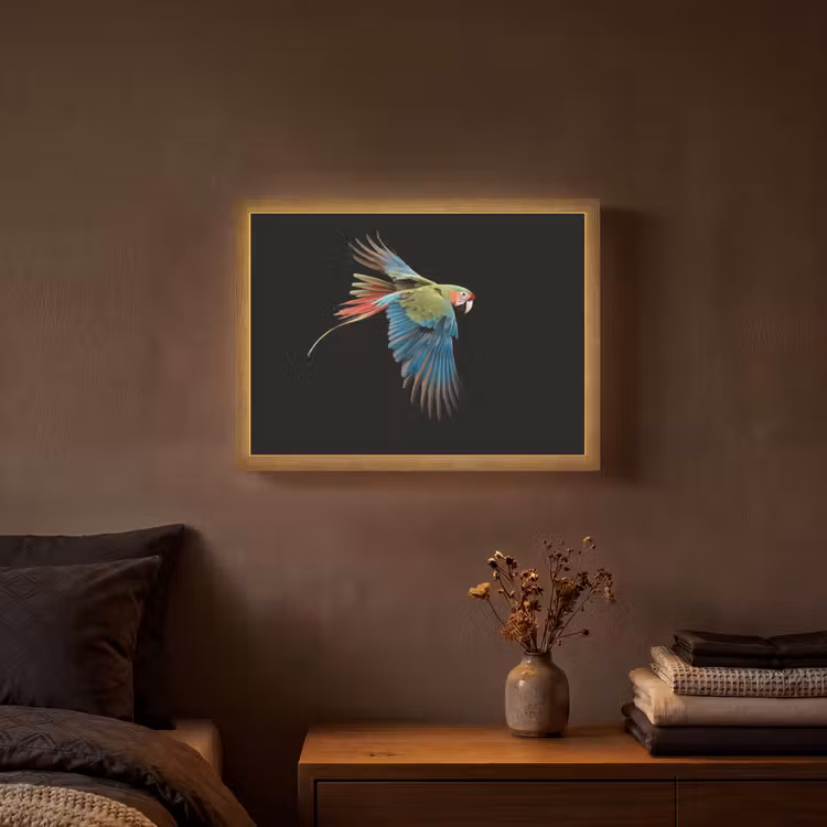 Papegaai - Kleurrijk - Vleugels - Sierlijk Light Box met batterij (Wandlamp) middel -sfeer4