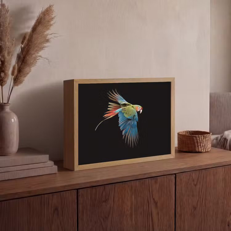 Papegaai - Kleurrijk - Vleugels - Sierlijk Light Box met batterij (Wandlamp) middel -sfeer2