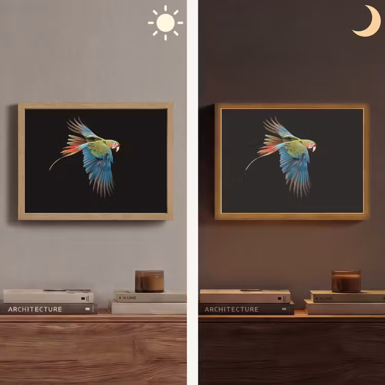 Papegaai - Kleurrijk - Vleugels - Sierlijk Light Box met batterij (Wandlamp) middel -sfeer3