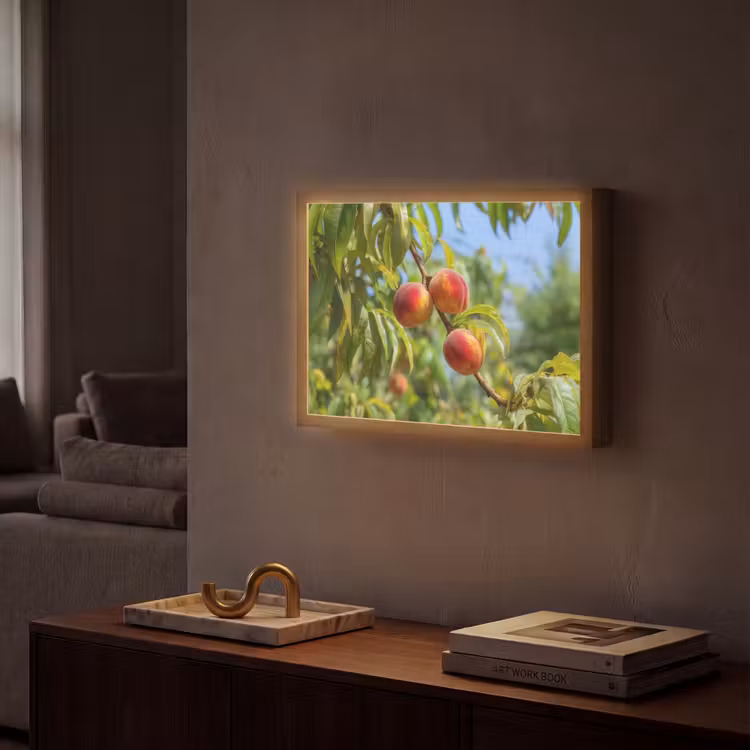 Perzik - Bladeren - Zonlicht Light Box met batterij (Wandlamp) middel -sfeer1