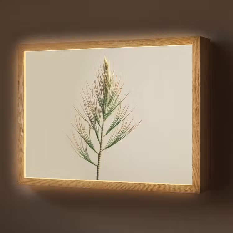 Dennentak - Naaldvormige bladeren - Lichtgroen Light Box met batterij (Wandlamp) middel -z3d_website