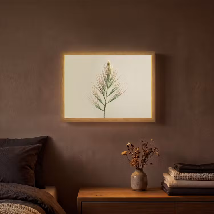 Dennentak - Naaldvormige bladeren - Lichtgroen Light Box met batterij (Wandlamp) middel -sfeer4