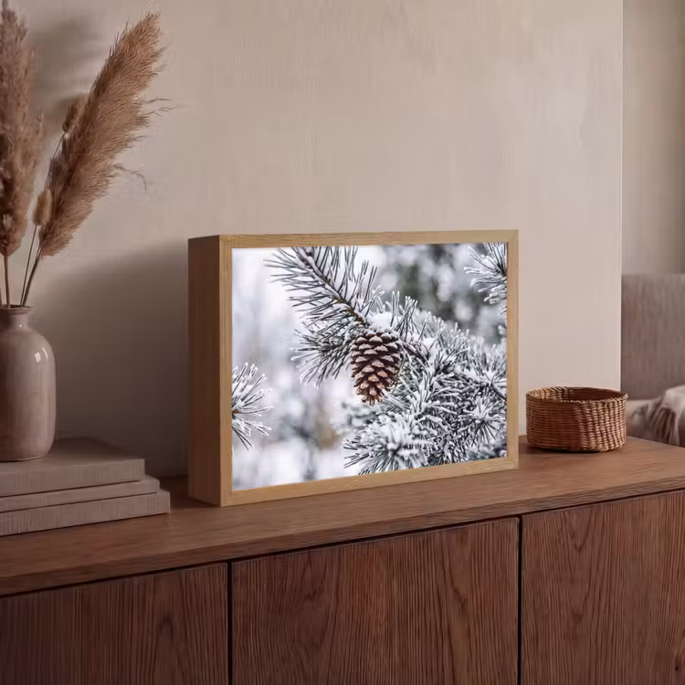Dennenappel - Tak - Sneeuw - Winter - Sfeervol Light Box met batterij (Wandlamp) middel -sfeer2