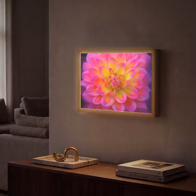 Roze - Dahlia - Kleurrijk Light Box met batterij (Wandlamp) middel -sfeer1