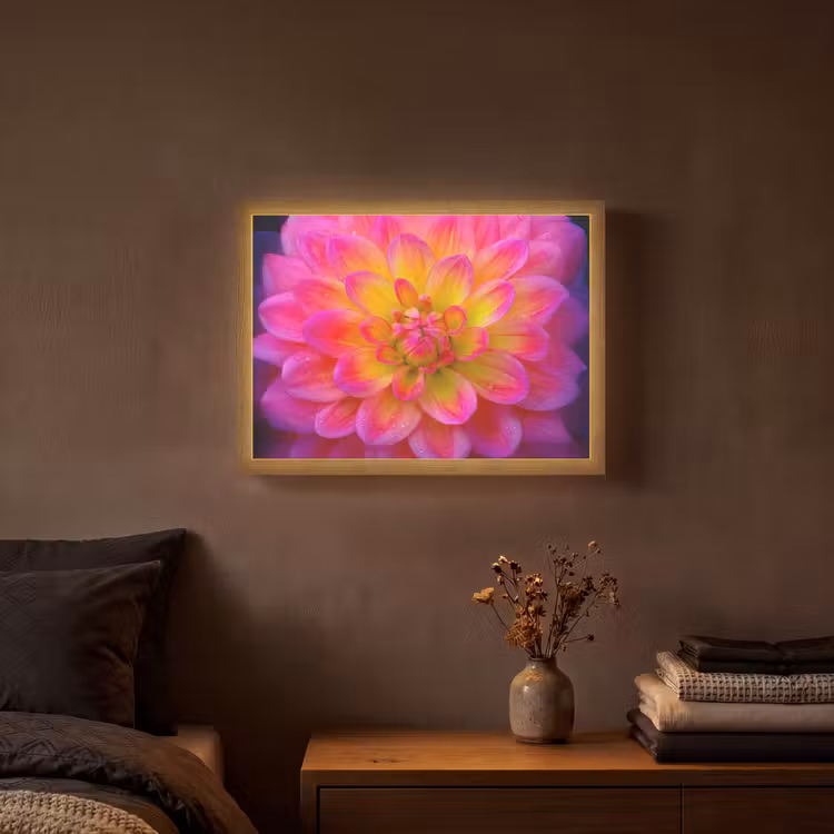 Roze - Dahlia - Kleurrijk Light Box met batterij (Wandlamp) middel -sfeer4