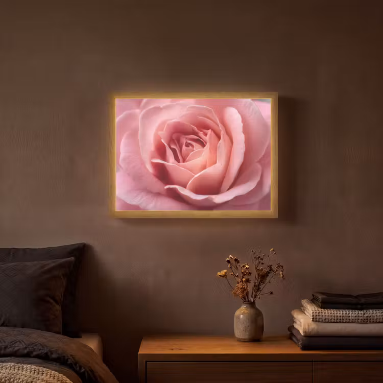 Roze - Roos - Romantisch Light Box met batterij (Wandlamp) middel -sfeer4