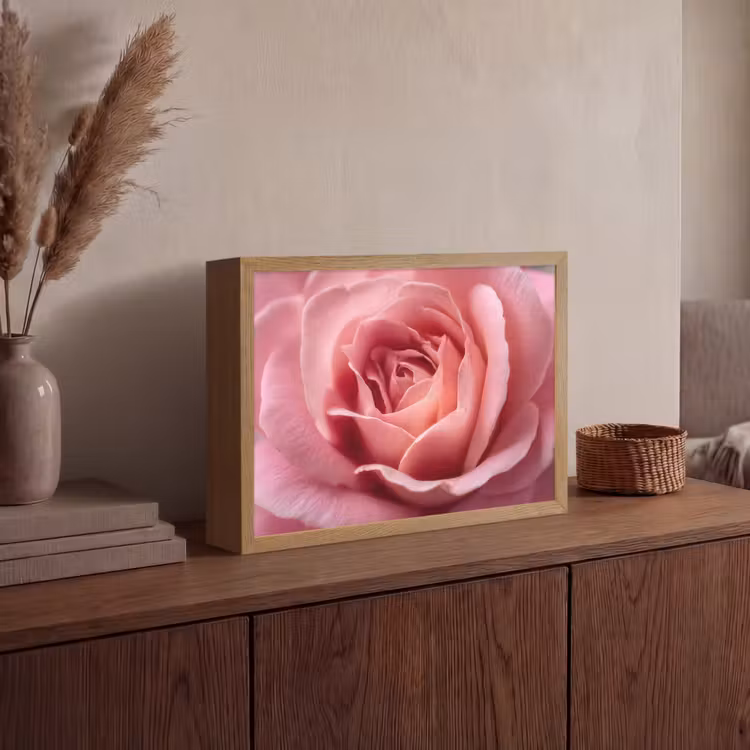 Roze - Roos - Romantisch Light Box met batterij (Wandlamp) middel -sfeer2
