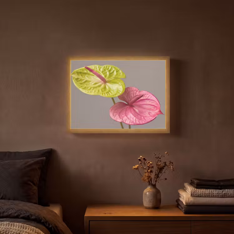Planten - Anthurium - Groen - Roze Light Box met batterij (Wandlamp) middel -sfeer4