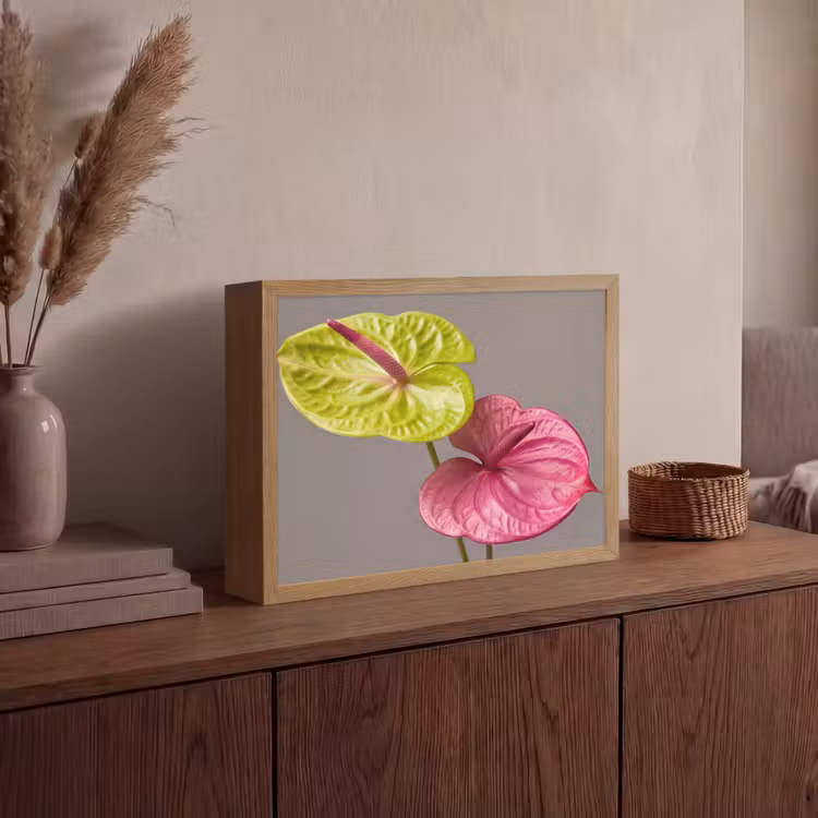 Planten - Anthurium - Groen - Roze Light Box met batterij (Wandlamp) middel -sfeer2