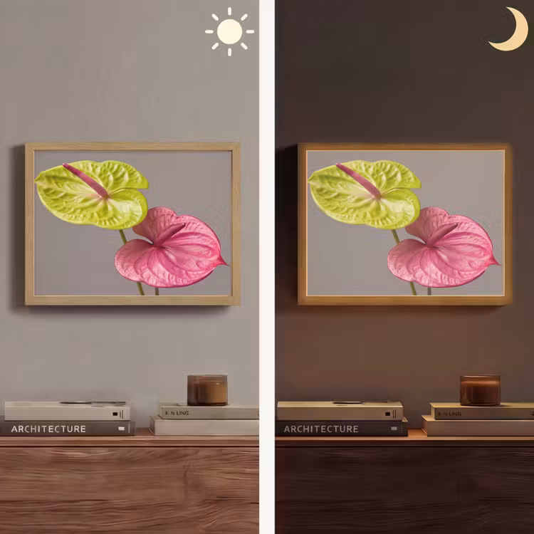 Planten - Anthurium - Groen - Roze Light Box met batterij (Wandlamp) middel -sfeer3