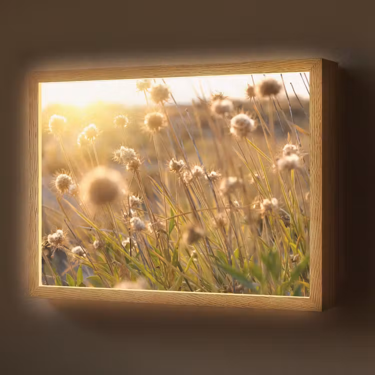 Planten - Natuur - Bloemen - Zon - Horizon Light Box met batterij (Wandlamp) middel -z3d_website