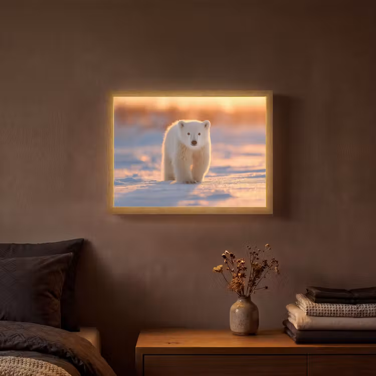 Ijsbeer - Sneeuw - Zonsopgang Light Box met batterij (Wandlamp) middel -sfeer4