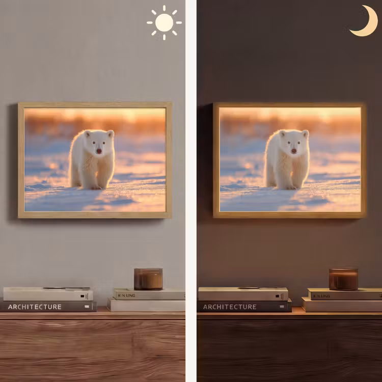 Ijsbeer - Sneeuw - Zonsopgang Light Box met batterij (Wandlamp) middel -sfeer3