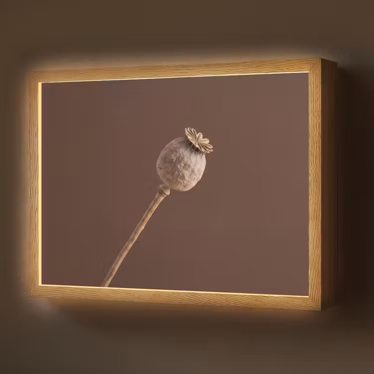 Papaverbol - Droogbloem - Bruin - Minimalistisch Light Box met batterij (Wandlamp) middel -z3d_website