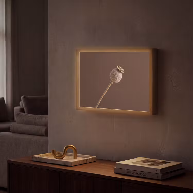 Papaverbol - Droogbloem - Bruin - Minimalistisch Light Box met batterij (Wandlamp) middel -sfeer1