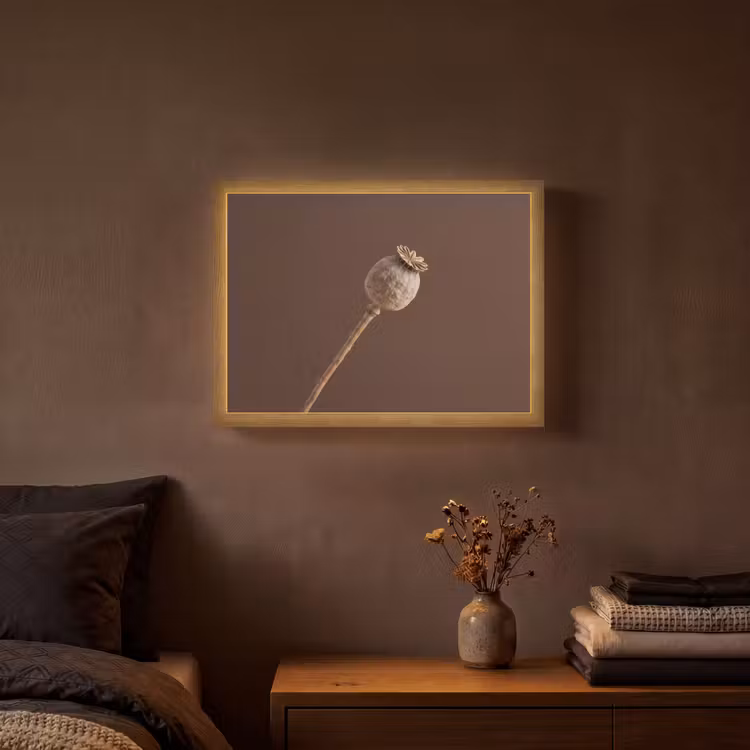 Papaverbol - Droogbloem - Bruin - Minimalistisch Light Box met batterij (Wandlamp) middel -sfeer4