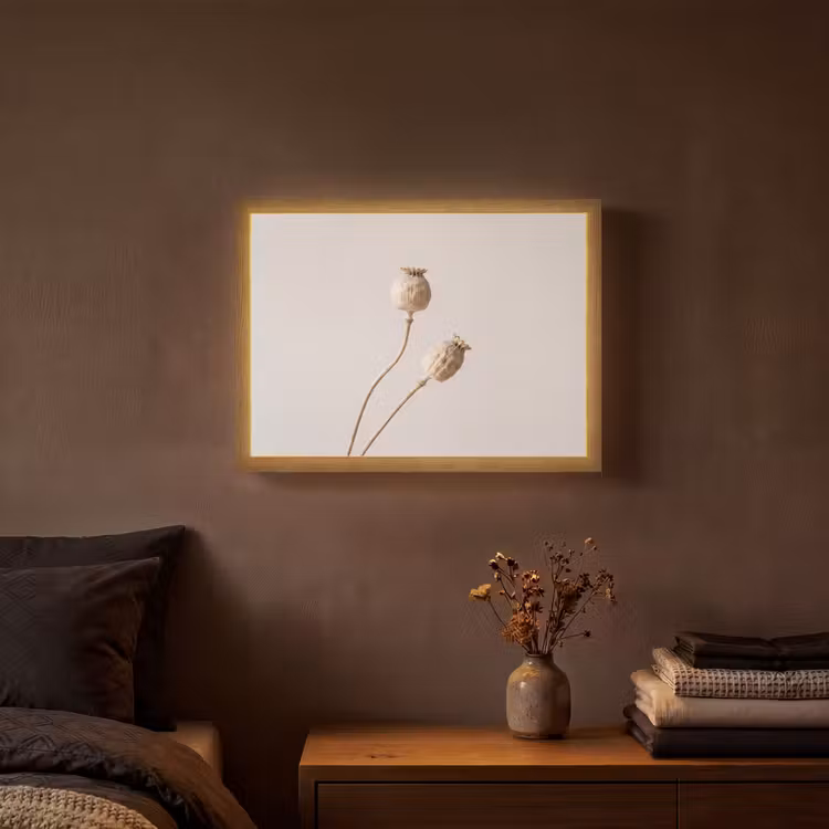 Papaverbollen - Droogbloemen - Minimalistisch - Beige - Rustig Light Box met batterij (Wandlamp) middel -sfeer4