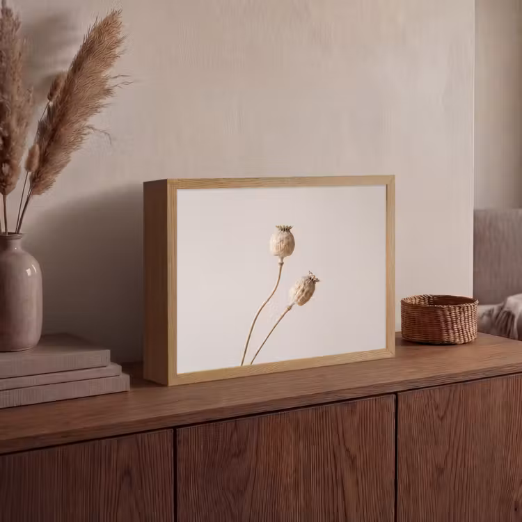 Papaverbollen - Droogbloemen - Minimalistisch - Beige - Rustig Light Box met batterij (Wandlamp) middel -sfeer2