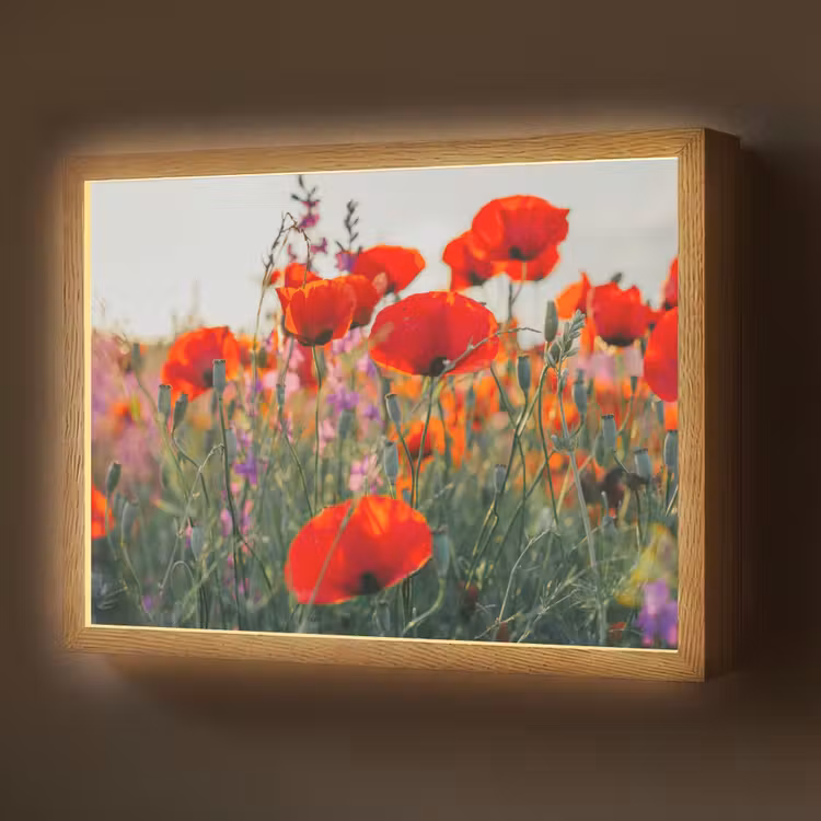 Klaproos - Bloemen - Rood - Paars - Weide Light Box met batterij (Wandlamp) middel -z3d_website