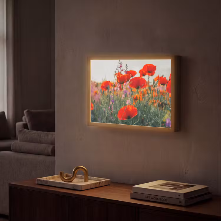 Klaproos - Bloemen - Rood - Paars - Weide Light Box met batterij (Wandlamp) middel -sfeer1