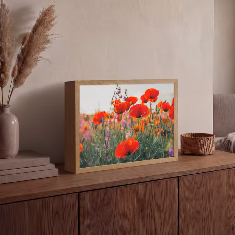 Klaproos - Bloemen - Rood - Paars - Weide Light Box met batterij (Wandlamp) middel -sfeer2