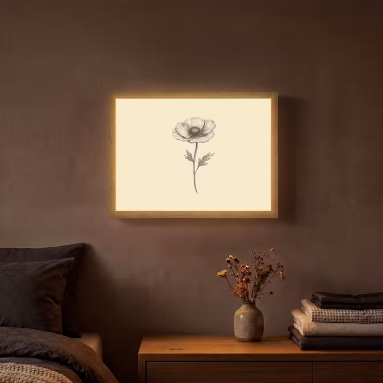 Klaproos - Illustratie - Zwart Light Box met batterij (Wandlamp) middel -sfeer4