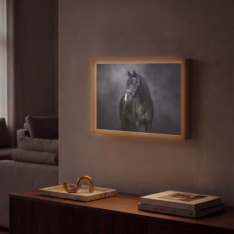 Portret - Paard - Zwart Light Box met batterij (Wandlamp) middel -sfeer1