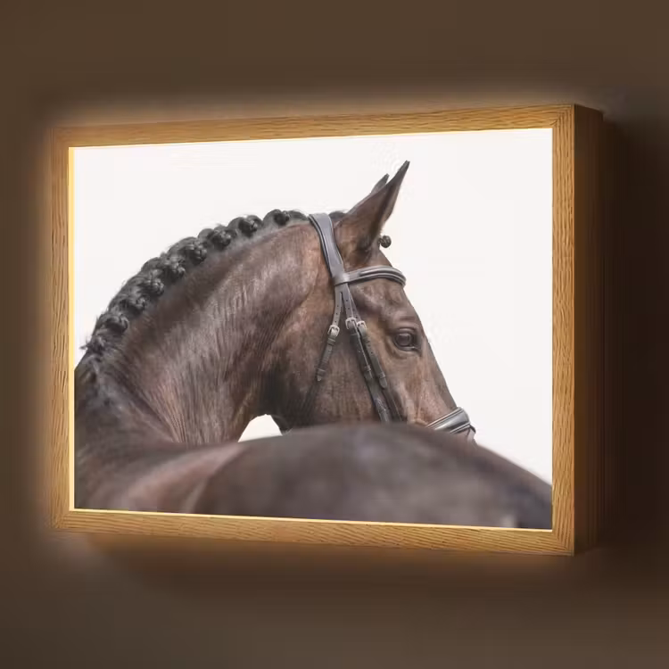Portret - Paard - Elegant Light Box met batterij (Wandlamp) middel -z3d_website