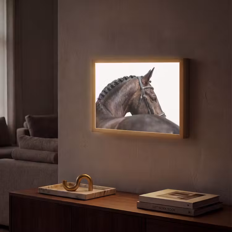 Portret - Paard - Elegant Light Box met batterij (Wandlamp) middel -sfeer1