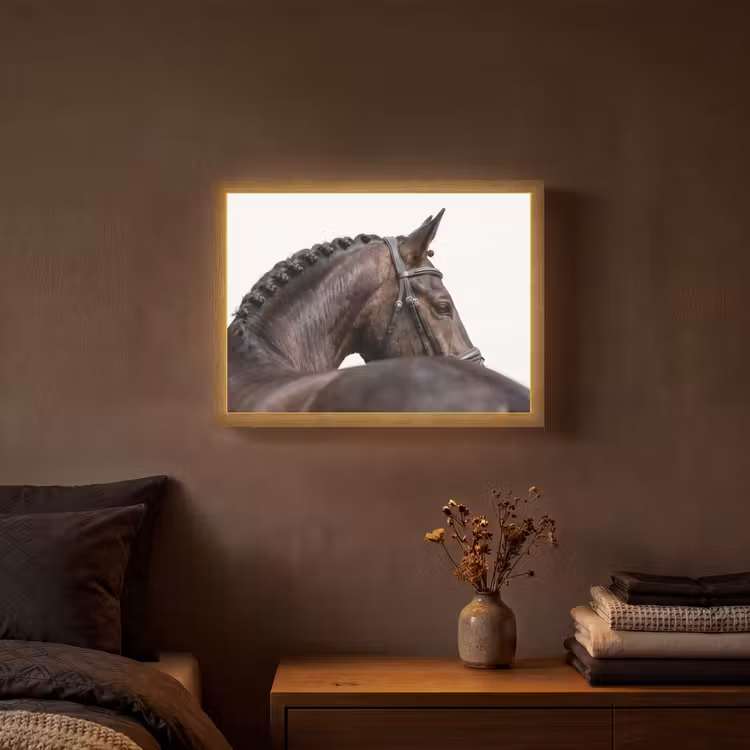 Portret - Paard - Elegant Light Box met batterij (Wandlamp) middel -sfeer4