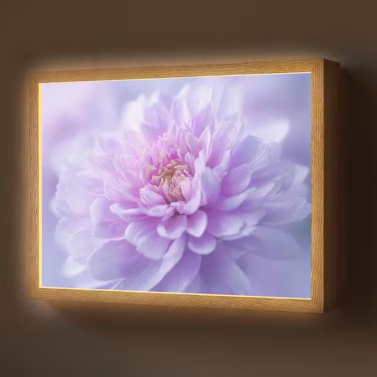 Paars - Dahlia - Dromerig Light Box met batterij (Wandlamp) middel -z3d_website