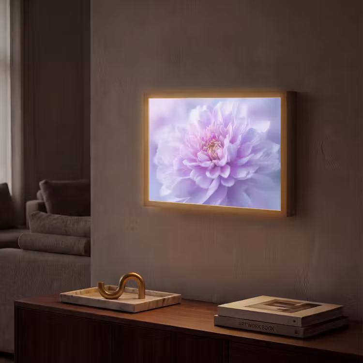 Paars - Dahlia - Dromerig Light Box met batterij (Wandlamp) middel -sfeer1