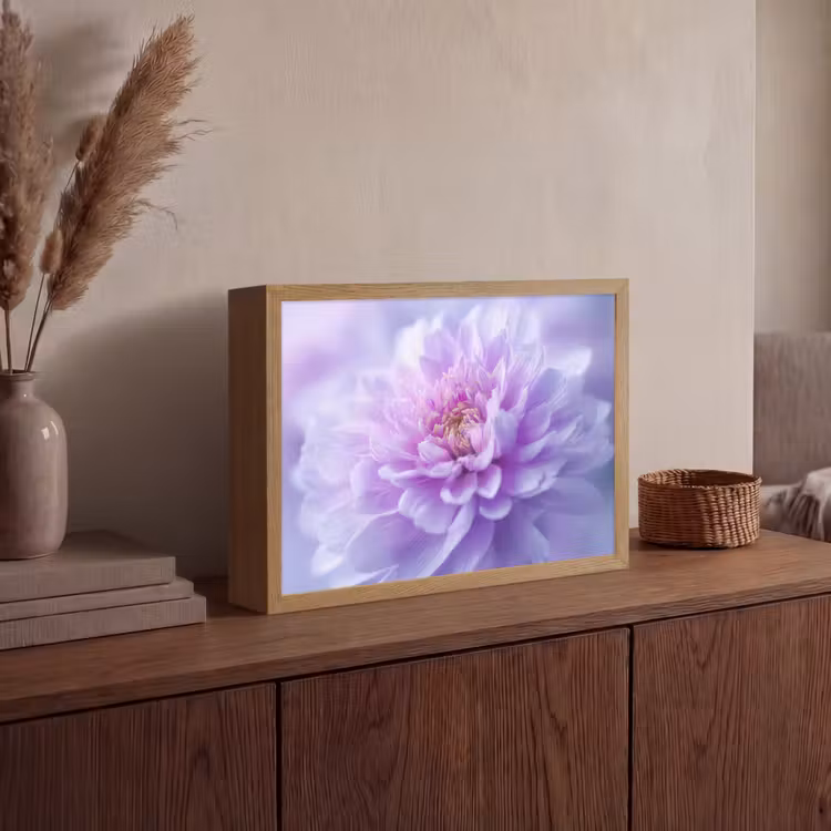 Paars - Dahlia - Dromerig Light Box met batterij (Wandlamp) middel -sfeer2