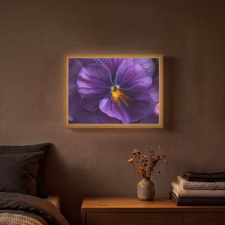 Paars - Viool - Diepte Light Box met batterij (Wandlamp) middel -sfeer4