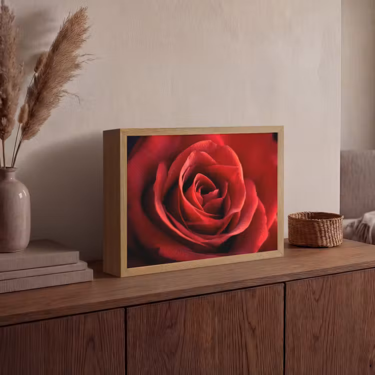 Rood - Roos - Romantisch Light Box met batterij (Wandlamp) middel -sfeer2
