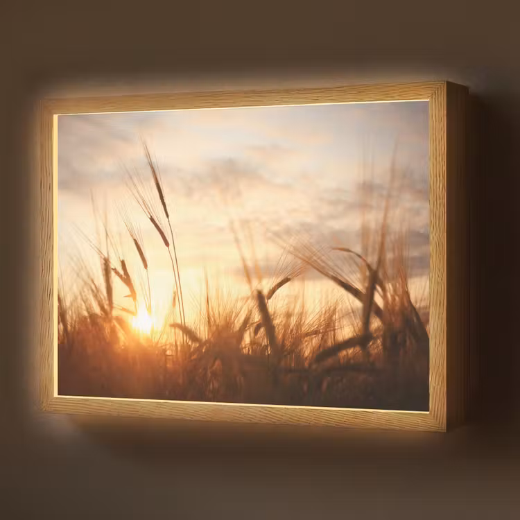 Riet - Gras - Zonsondergang - Natuur - Horizon Light Box met batterij (Wandlamp) middel -z3d_website
