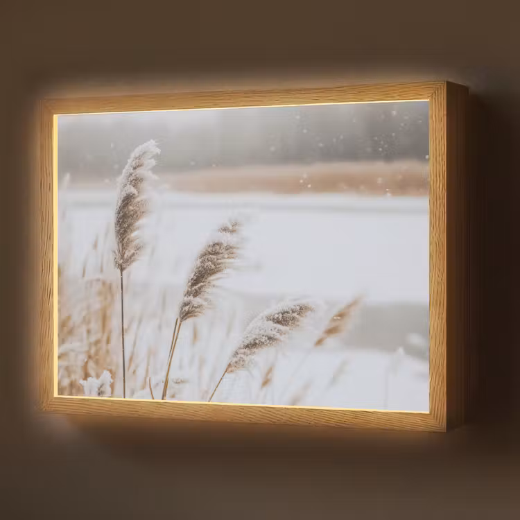 Riet - Meer - Winter - Natuur - Sneeuw - Beige Light Box met batterij (Wandlamp) middel -z3d_website