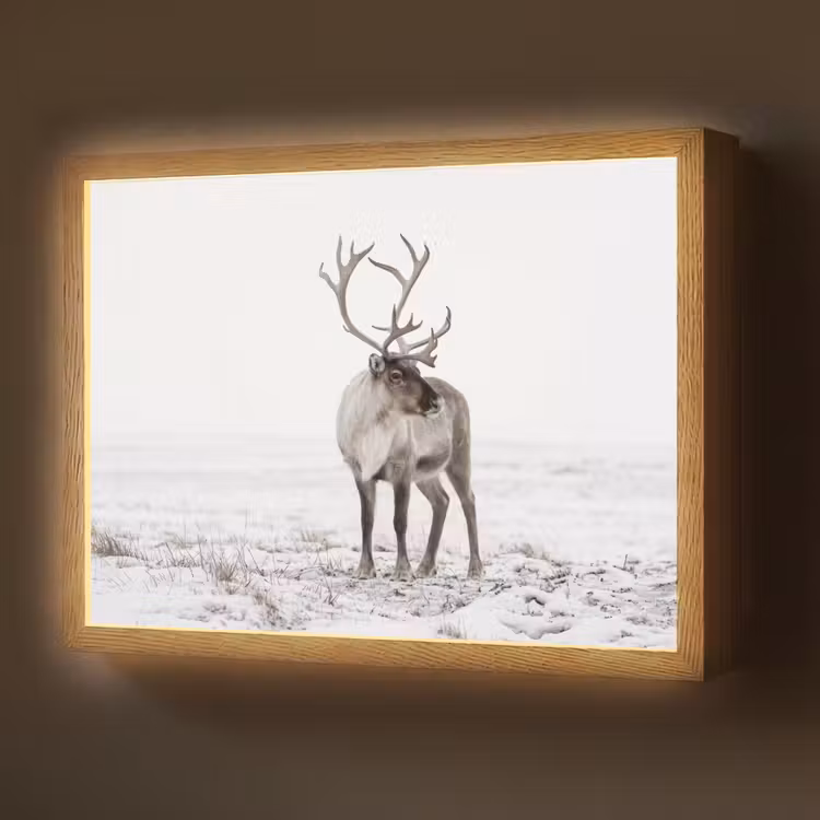 Rendier - Gewei - Sneeuw - Winter Light Box met batterij (Wandlamp) middel -z3d_website