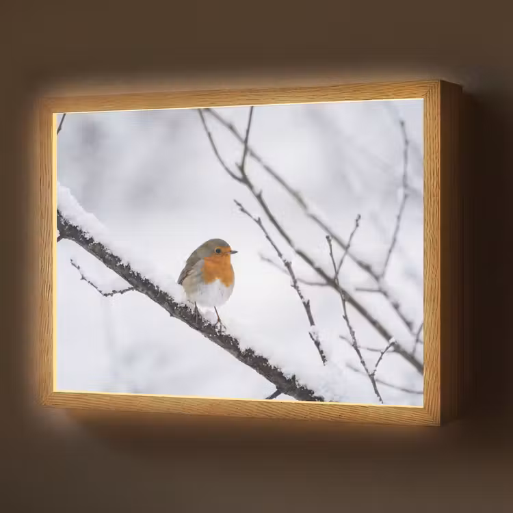 Roodborstje - Tak - Sneeuw - Winter - Levendig Light Box met batterij (Wandlamp) middel -z3d_website