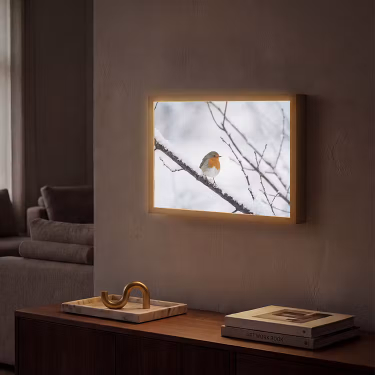 Roodborstje - Tak - Sneeuw - Winter - Levendig Light Box met batterij (Wandlamp) middel -sfeer1