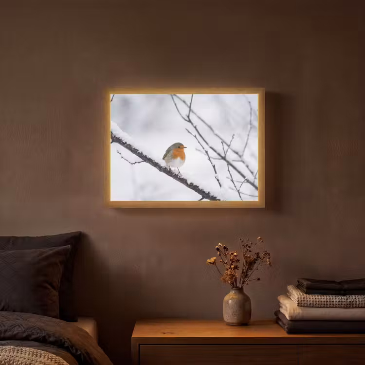 Roodborstje - Tak - Sneeuw - Winter - Levendig Light Box met batterij (Wandlamp) middel -sfeer4