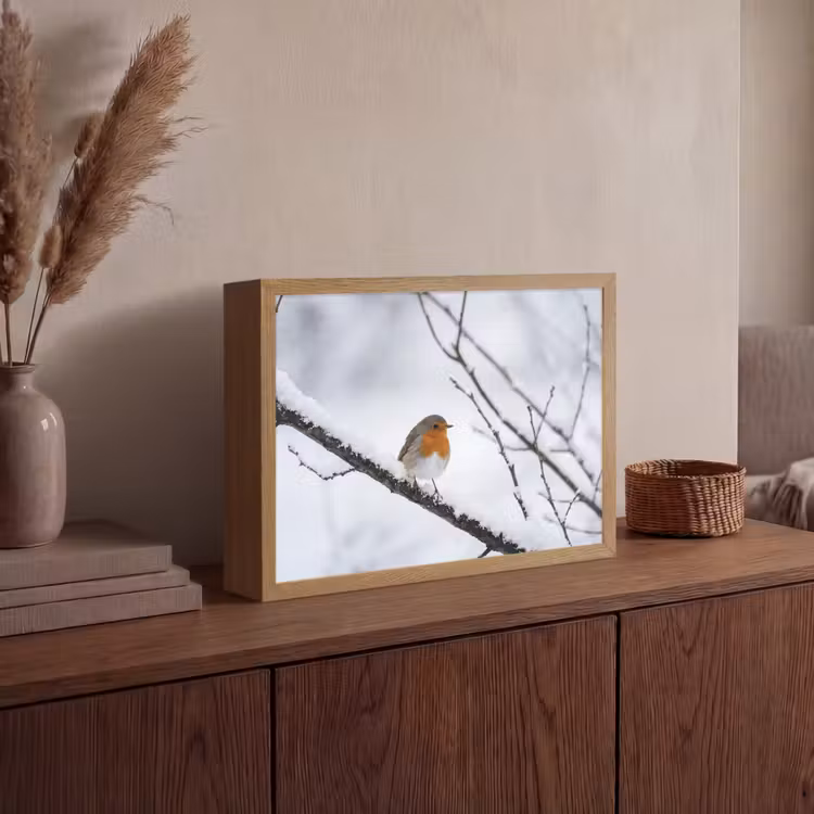 Roodborstje - Tak - Sneeuw - Winter - Levendig Light Box met batterij (Wandlamp) middel -sfeer2