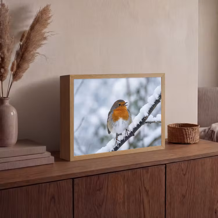 Roodborstje - Tak - Sneeuw - Winter - Levendig Light Box met batterij (Wandlamp) middel -sfeer2