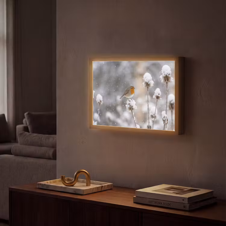 Roodborstje - Gedroogde bloem - Sneeuw - Winter - Vertederend Light Box met batterij (Wandlamp) middel -sfeer1