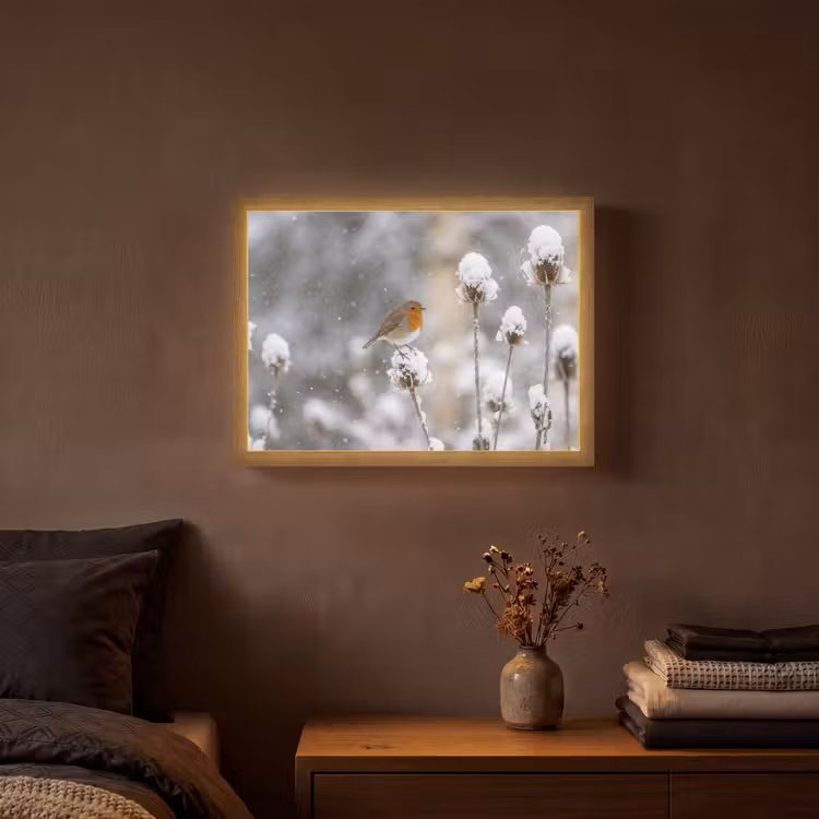 Roodborstje - Gedroogde bloem - Sneeuw - Winter - Vertederend Light Box met batterij (Wandlamp) middel -sfeer4