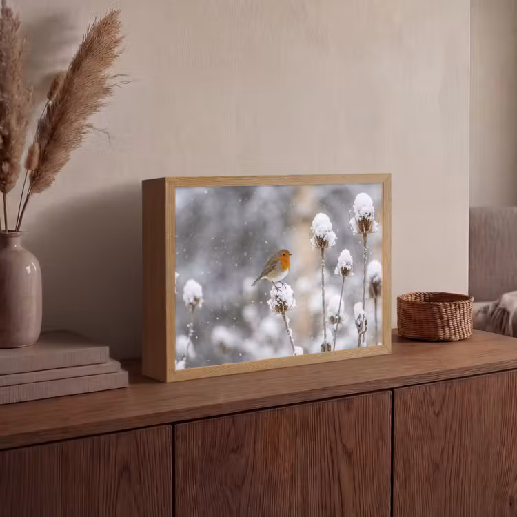 Roodborstje - Gedroogde bloem - Sneeuw - Winter - Vertederend Light Box met batterij (Wandlamp) middel -sfeer2