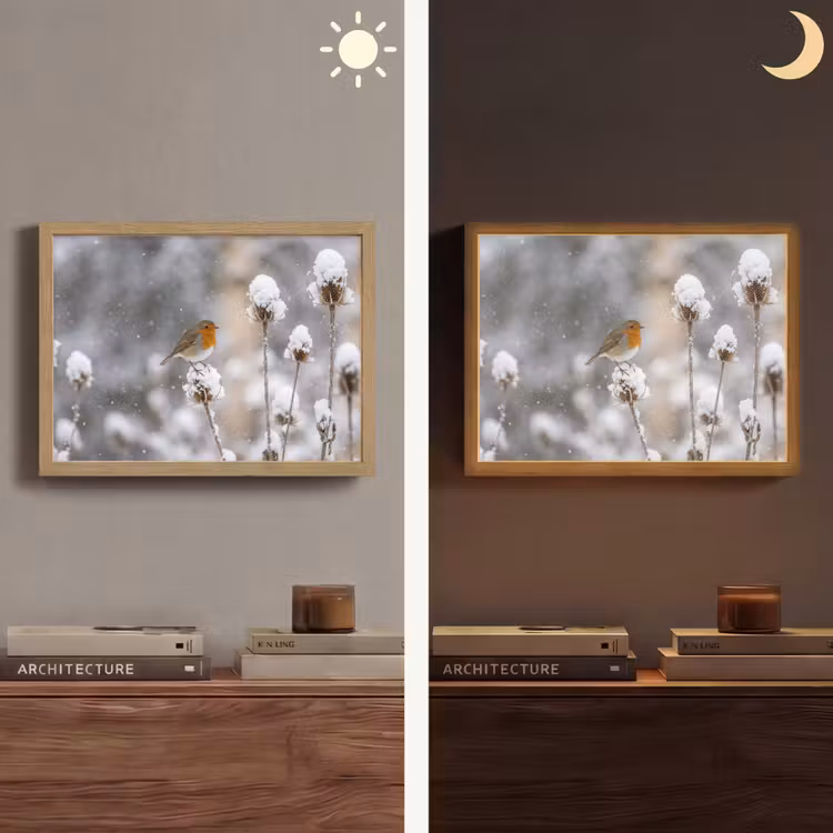 Roodborstje - Gedroogde bloem - Sneeuw - Winter - Vertederend Light Box met batterij (Wandlamp) middel -sfeer3