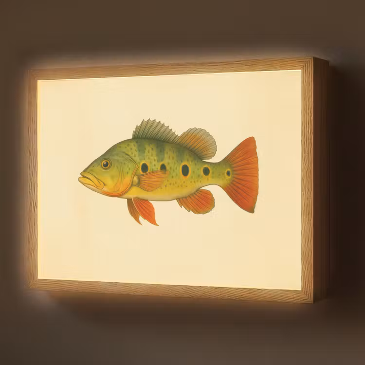 Schubben - Vis - Groen - Illustratie Light Box met batterij (Wandlamp) middel -z3d_website